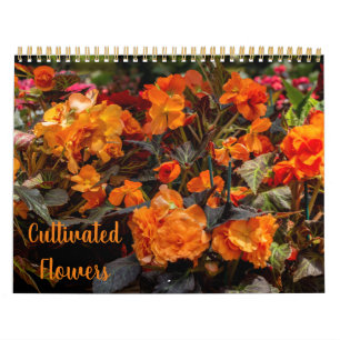 Calendrier des fleurs cultivées