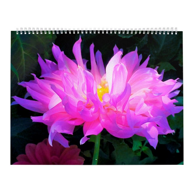 Calendrier des fleurs Dahlia 2023 (Protection)