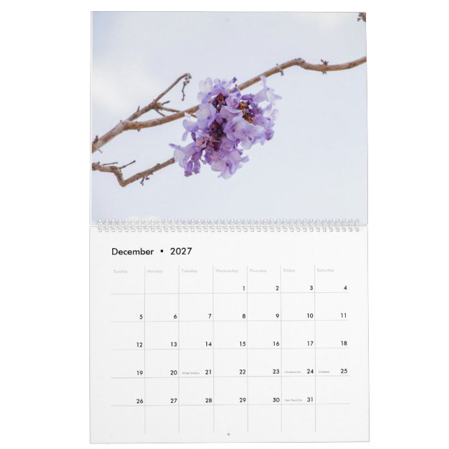 Calendrier des fleurs Jacaranda (Dec 2027)