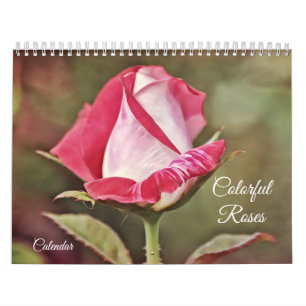 Calendrier des fleurs Roses colorées