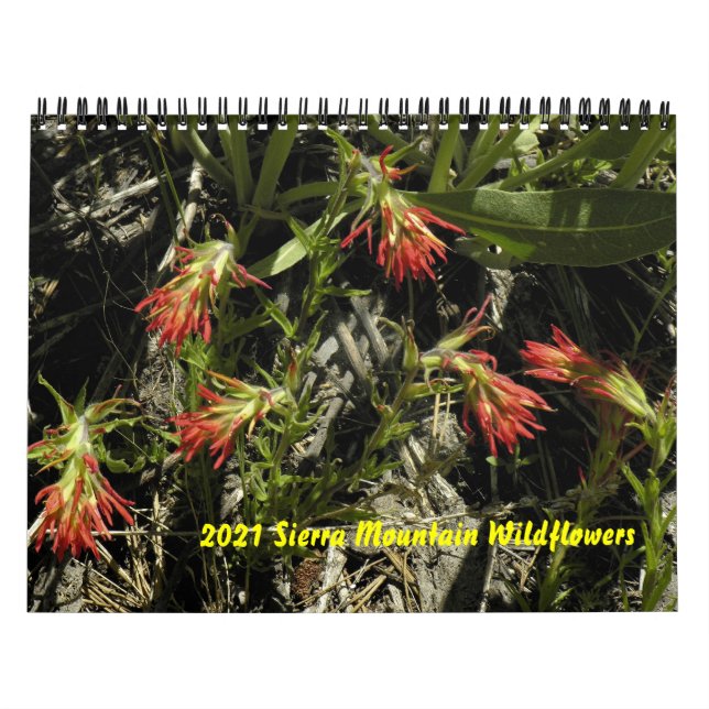 Calendrier des Fleurs sauvages de la Sierra Mounta (Protection)