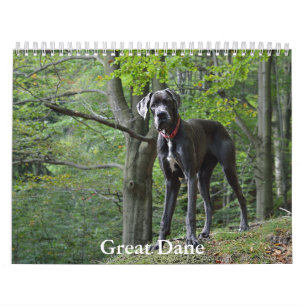 Calendrier des grandes danses