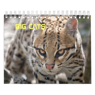 Calendrier des Grands Félins