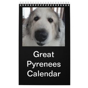 Calendrier des Grands Pyrénées