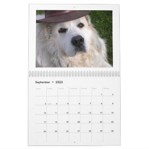 Calendrier des Grands Pyrénées
