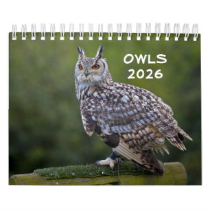 Calendrier des hiboux