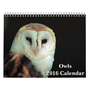 Calendrier des hiboux 2016
