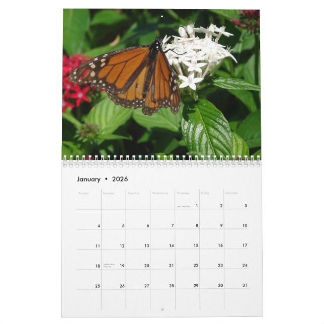 Calendrier des images WKS (Jan 2026)