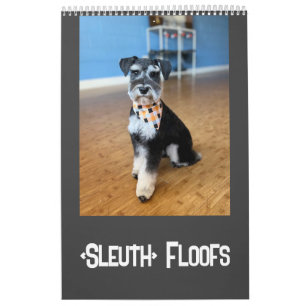 Calendrier des inondations de Sleuth o'