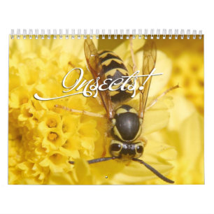 Calendrier des insectes