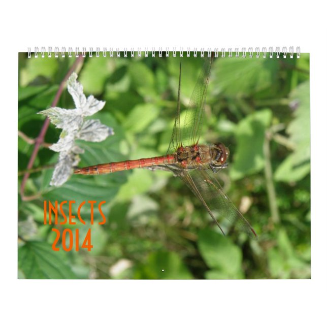 Calendrier des insectes 2014 (Protection)