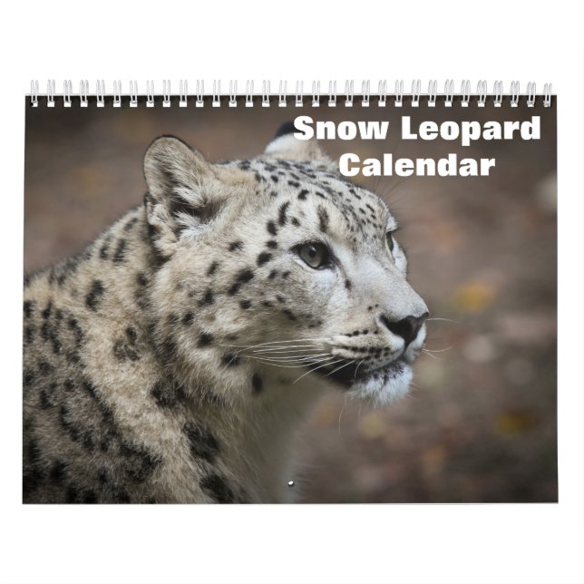 Calendrier des léopards des neiges 2025 (Protection)