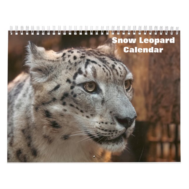 Calendrier des léopards des neiges 2025 (Protection)