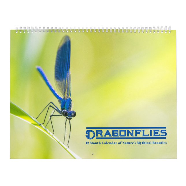 Calendrier des libellules (Protection)