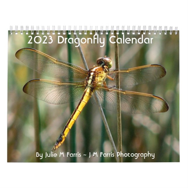 Calendrier des libellules 2024 (Protection)
