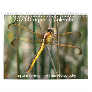 Calendrier des libellules 2024