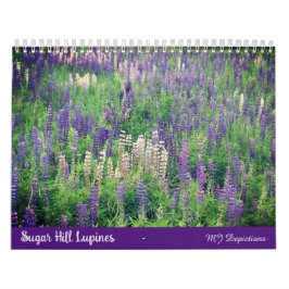 Calendrier des lupines de Sugar Hill