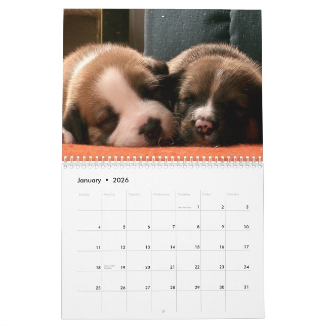 Calendrier des marionnettes (Jan 2026)