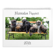 Calendrier des marionnettes Mastador