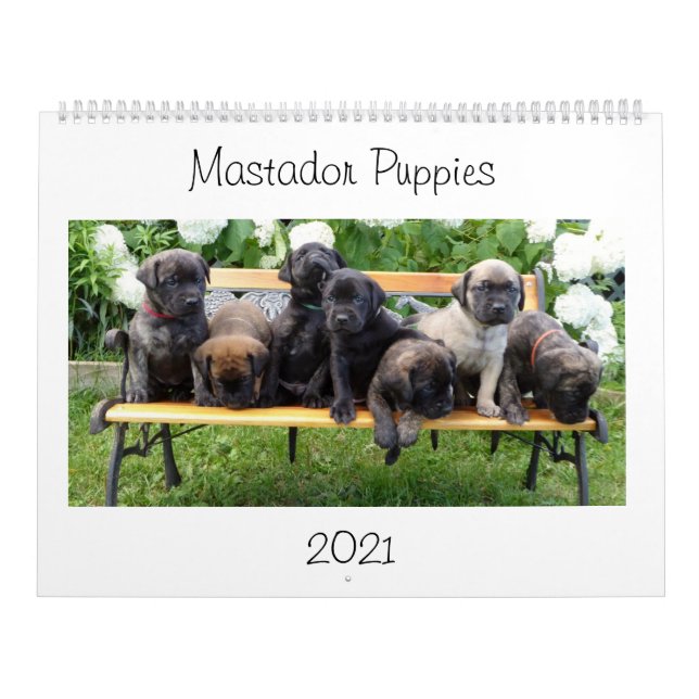 Calendrier des marionnettes Mastador (Protection)