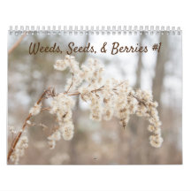 Calendrier des mauvaises herbes, semences et baies