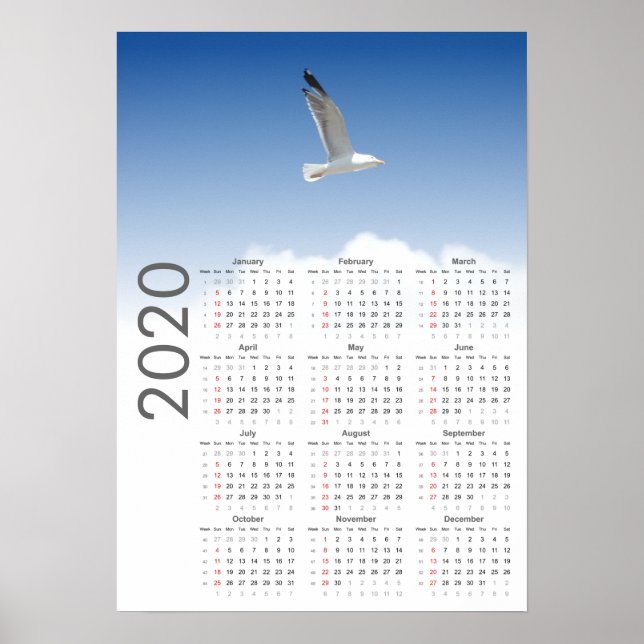 Calendrier des mouettes Poster 2020 (Devant)