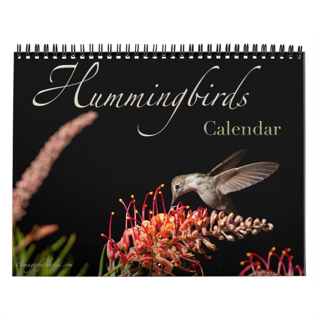 Calendrier des murailles des colibris 2026 (Protection)