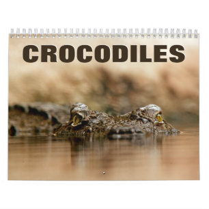 Calendrier des Murs Crocodiles 2022