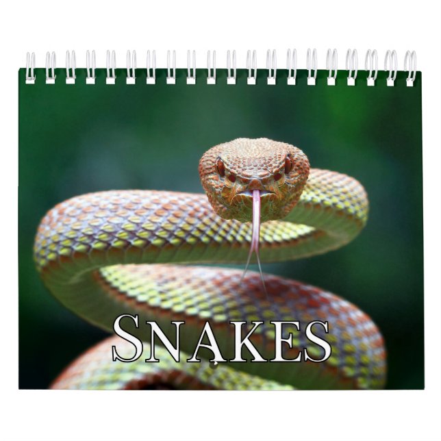 Calendrier des murs de collecte des serpents (Protection)