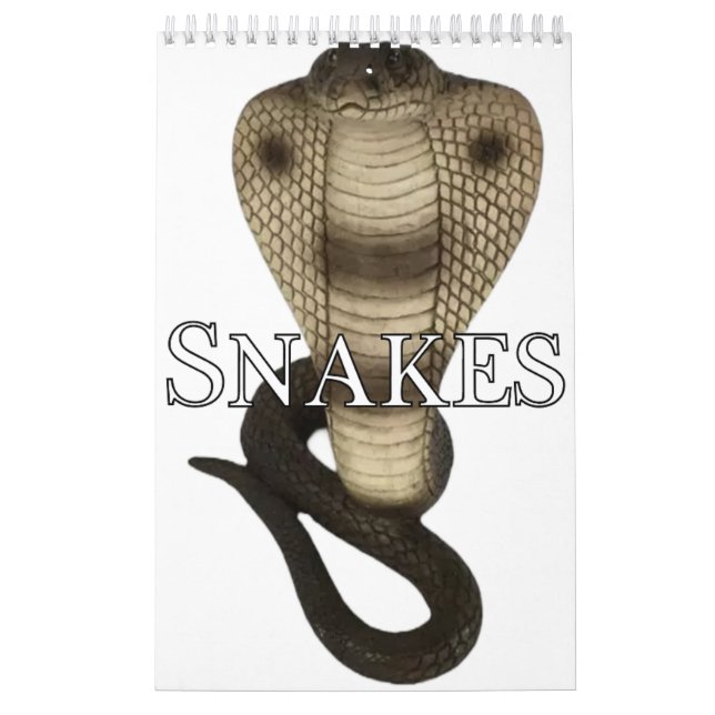 Calendrier des murs de collecte des serpents (Protection)