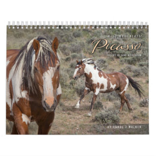 Calendrier des Murs de Picasso II