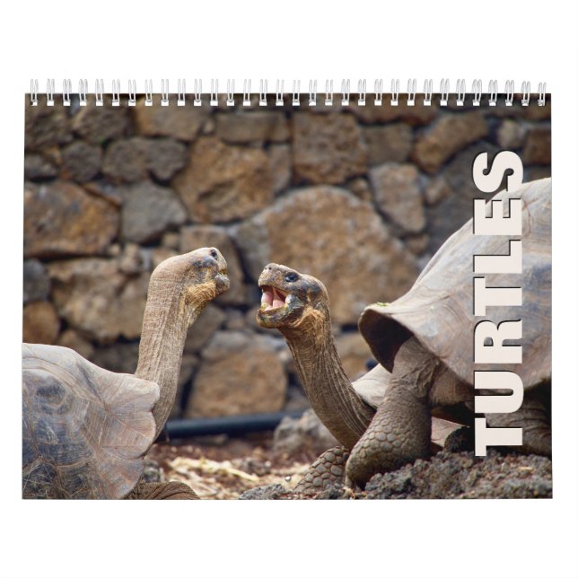 Calendrier des Murs de tortues (Protection)