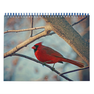 Calendrier des oiseaux