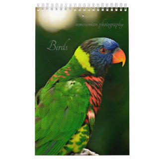 Calendrier des oiseaux