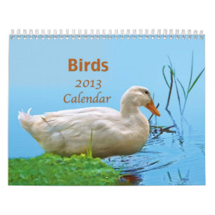 Calendrier des oiseaux 2013