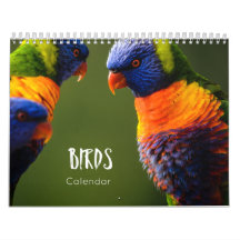 calendrier des oiseaux 2023