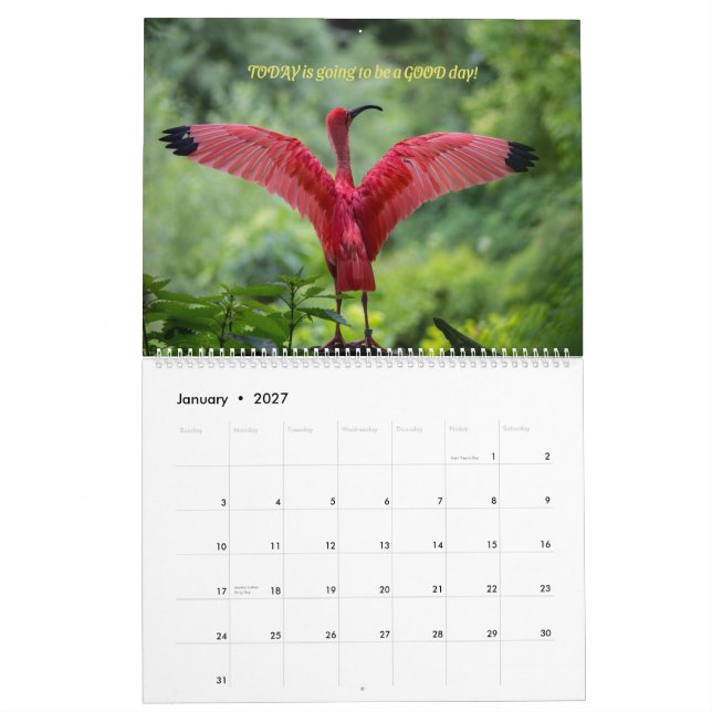 Calendrier des oiseaux 2026 - Avec des versets de  (Jan 2027)