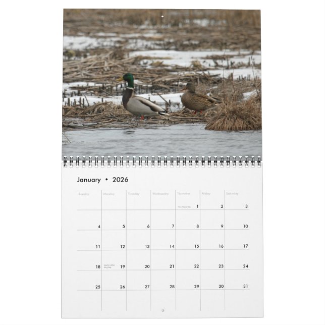 Calendrier des oiseaux aquatiques 2010 (Jan 2026)