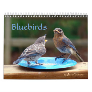 Calendrier des oiseaux bleus