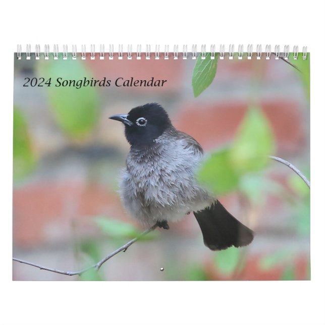 Calendrier des oiseaux chanteurs 2024 (Protection)