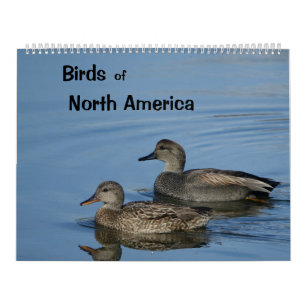 Calendrier des oiseaux d'Amérique du Nord