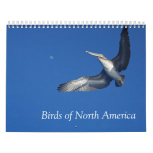 Calendrier des oiseaux d'Amérique du Nord