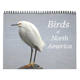 Calendrier des oiseaux d'Amérique du Nord