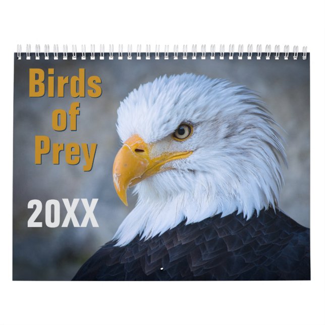 Calendrier des oiseaux de proie (Protection)
