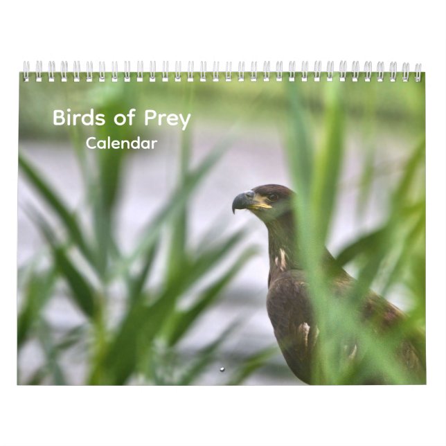 Calendrier des oiseaux de proie (Protection)