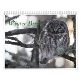 Calendrier des oiseaux d'hiver