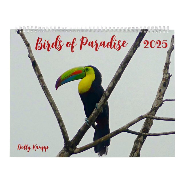 Calendrier des oiseaux du paradis (Protection)