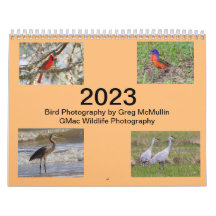 Calendrier des oiseaux du Texas 2023