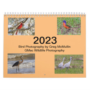 Calendrier des oiseaux du Texas 2023