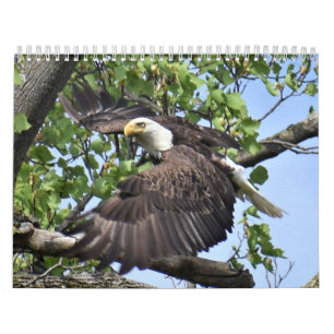 Calendrier des oiseaux et des canards